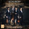 Download track String Quartet No. 14 In D Minor, D. 810, Death And The Maiden II. Andante Con Moto. Variation IV