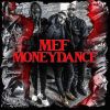 Download track Moneydance