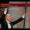 Download track Symphony In D Minor, WAB 100 