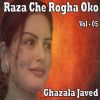 Download track Raza Che Rogha Oko