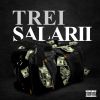 Download track Trei Salarii