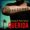 Download track Querida