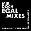 Download track Mir Doch Egal (Adrian Pitscher Remix)