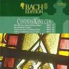 Download track Ein Ungefährt Gemüte BWV 24 - II Recitativo (Tenore)