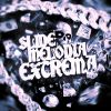 Download track Slide Melodia Extrema