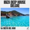 Download track Ibiza Beach Mix