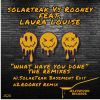 Download track What Have You Done (SolarTrak Basement Edit)