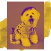 Download track Brilliant Bossa - Vibe For Keeping Your Dog Happy