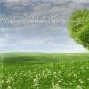 Download track Chilling Summer Breeze Meadow Sounds, Pt. 16