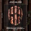 Download track Irregular Sound (Original Mix)