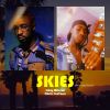 Download track Skies