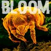 Download track New Bloom