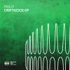 Download track Driftwood (Extended Mix)