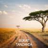 Download track Tanzania (Original Mix)