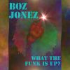 Download track What The Funk Is Up?