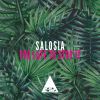 Download track Too Late To Stop It (Salosia Remix)