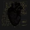 Download track Narrow Hearts