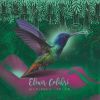 Download track Elixir Colibrí