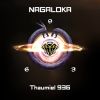 Download track Thaumiel 936