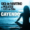 Download track Cayendo (Extended Mix)