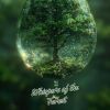 Download track Nature's Awakening