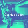 Download track Exciting Music For Cute Cats