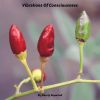 Download track Vibrations Of Consciousness