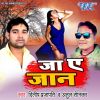 Download track Kahe Humke Bhulailu