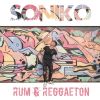 Download track Rum E Reggaeton (Mix Pop Version)