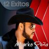 Download track El Midas Del Derecho