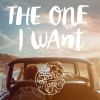 Download track The One I Want