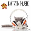 Download track Ganz Ruhig, Kleine Katze