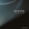 Download track Wolf's River