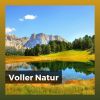 Download track Reiner Wasserfall