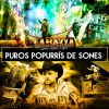 Download track Popurri De Sones Barbaro.. Son Del Toro / Huitzuqueño / Los Colorados / Las Guacayas