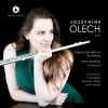 Download track Flute Concerto: III. Scherzo