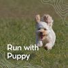 Download track Peacefully Resting Pup