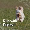 Download track Putting My Furbaby Away From Stress