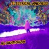 Download track Electrical Madness