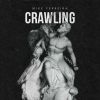 Download track Crawling (Original Mix)