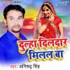 Download track Ham Na Jee Sakale