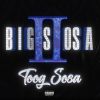 Download track Big Toog