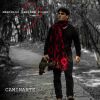 Download track Caminante