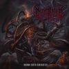 Download track Intro - Ascending To Decomposition