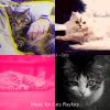 Download track Ambience (Sleeping Cats)