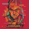 Download track Nzima (DJ Shimza Remix)