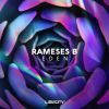 Download track Falling (Rameses B Remix)