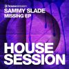 Download track Missing (Original Mix)