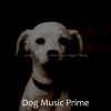 Download track Bright Music For Cute Dogs