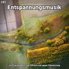 Download track Entspannungsmusik Pt. 84